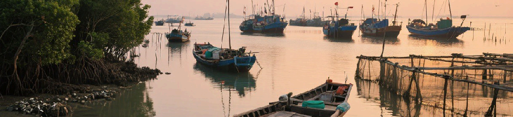 北潭港・生蚝溯源